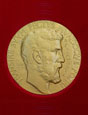 Retrato de Arquimedes na Medalha Fields